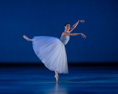 Отражения. Королевы вариаций